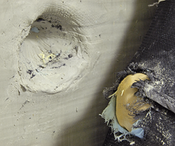 blunt force trauma testing